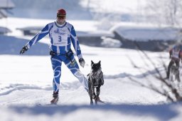 Lenk 2013